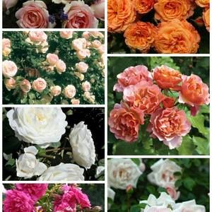 Meet your Posher, Kathryn